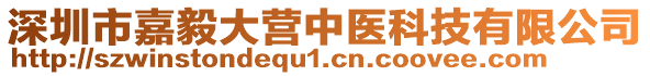 深圳市嘉毅大營中醫科技有限公司