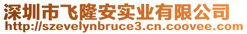 深圳市飛隆安實業有限公司