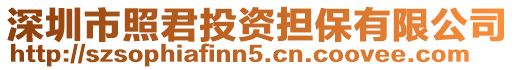 深圳市照君投資擔(dān)保有限公司