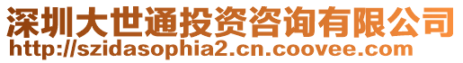 深圳大世通投資咨詢有限公司