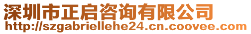 深圳市正啟咨詢有限公司