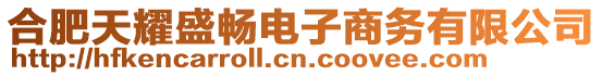 合肥天耀盛暢電子商務有限公司