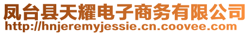 鳳臺(tái)縣天耀電子商務(wù)有限公司
