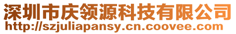 深圳市慶領源科技有限公司