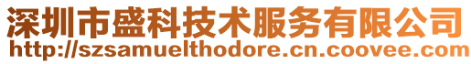 深圳市盛科技術服務有限公司