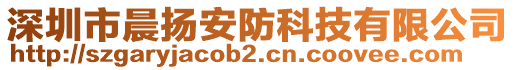 深圳市晨揚(yáng)安防科技有限公司