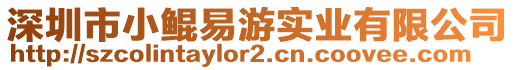 深圳市小鯤易游實業有限公司