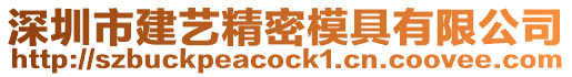 深圳市建藝精密模具有限公司