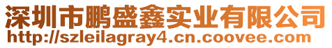 深圳市鵬盛鑫實業有限公司