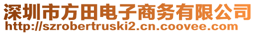 深圳市方田電子商務(wù)有限公司