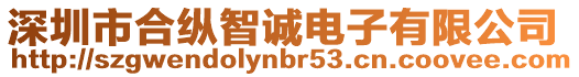 深圳市合縱智誠電子有限公司