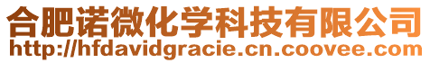 合肥諾微化學科技有限公司