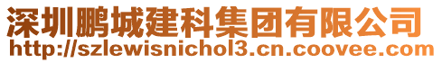 深圳鵬城建科集團(tuán)有限公司