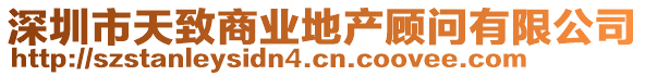 深圳市天致商業(yè)地產(chǎn)顧問有限公司