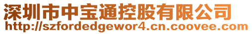 深圳市中寶通控股有限公司