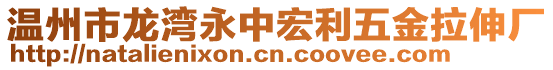 溫州市龍灣永中宏利五金拉伸廠