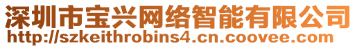 深圳市寶興網(wǎng)絡(luò)智能有限公司