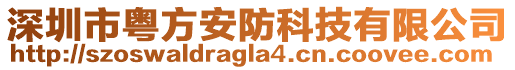 深圳市粵方安防科技有限公司