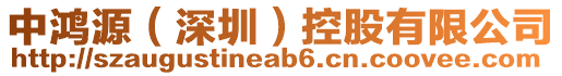 中鴻源(深圳)控股有限公司