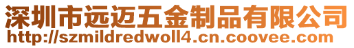 深圳市遠邁五金制品有限公司