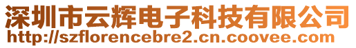 深圳市云輝電子科技有限公司