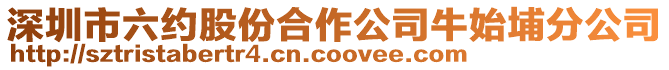 深圳市六約股份合作公司牛始埔分公司