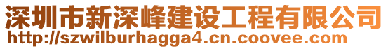 深圳市新深峰建設(shè)工程有限公司