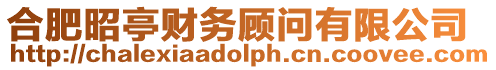 合肥昭亭財務顧問有限公司