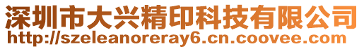 深圳市大興精印科技有限公司