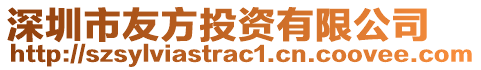 深圳市友方投資有限公司