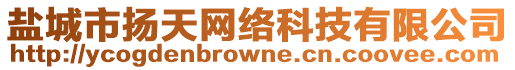 鹽城市揚天網絡科技有限公司