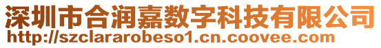 深圳市合潤嘉數字科技有限公司
