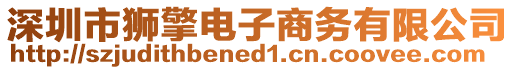 深圳市獅擎電子商務(wù)有限公司