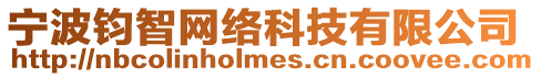 寧波鈞智網絡科技有限公司