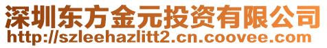 深圳東方金元投資有限公司