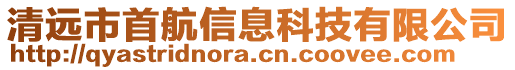 清遠(yuǎn)市首航信息科技有限公司