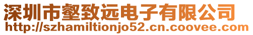 深圳市壑致遠電子有限公司