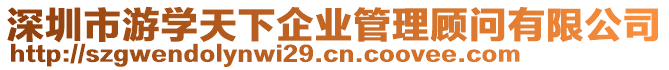 深圳市游學(xué)天下企業(yè)管理顧問有限公司