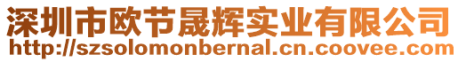 深圳市歐節(jié)晟輝實(shí)業(yè)有限公司