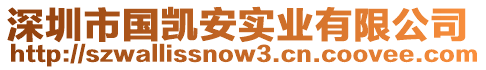 深圳市國凱安實業(yè)有限公司