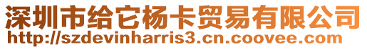 深圳市給它楊卡貿易有限公司