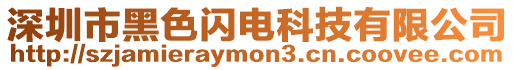 深圳市黑色閃電科技有限公司