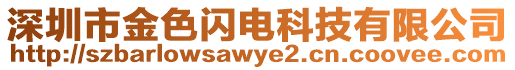 深圳市金色閃電科技有限公司