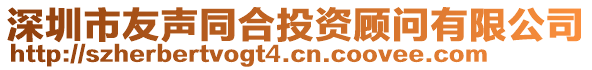 深圳市友聲同合投資顧問(wèn)有限公司