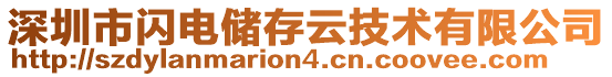 深圳市閃電儲存云技術(shù)有限公司