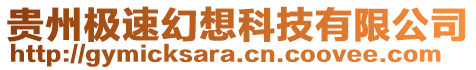 貴州極速幻想科技有限公司