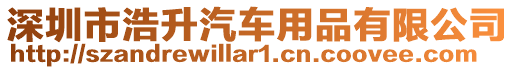 深圳市浩升汽車用品有限公司