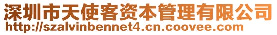 深圳市天使客資本管理有限公司