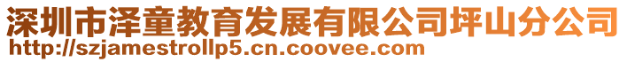 深圳市澤童教育發展有限公司坪山分公司