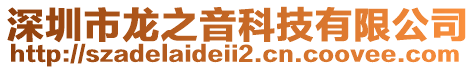 深圳市龍之音科技有限公司